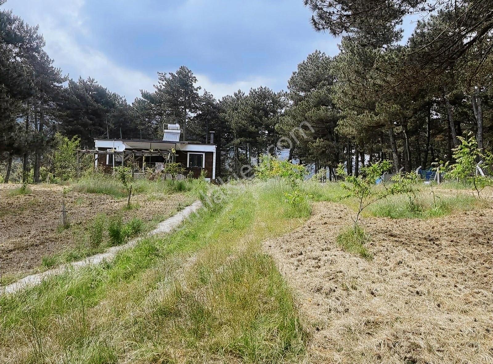 Kemalpaşa Ovacık Köyünde Kiralık Müstakil Bahçeli Ev - Görsel 26