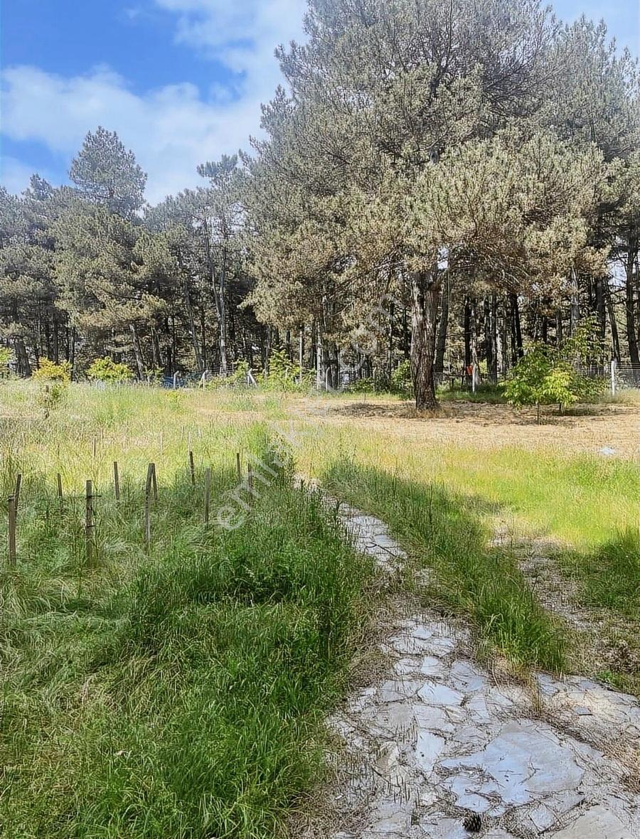 Kemalpaşa Ovacık Köyünde Kiralık Müstakil Bahçeli Ev - Görsel 29