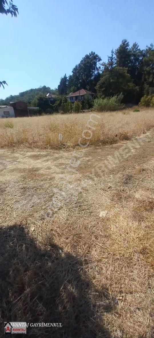 Yanıkkar'da 1764 M2 Tarla - Görsel 11