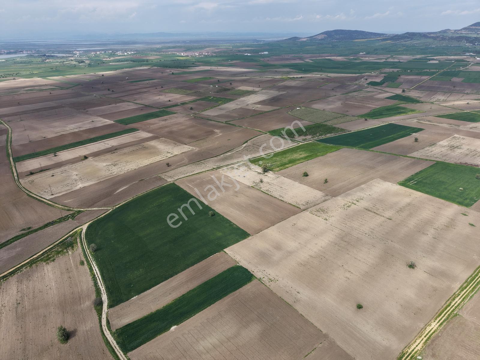 Ege Emlak'tan Enez Yenice'de 12.000 M2 Satılık Arazi - Görsel 11