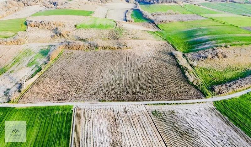 Utku Emlak'tan Fiyat Düştü Demirkapı Köyünde 13 Dönüm Arazi - Görsel 7