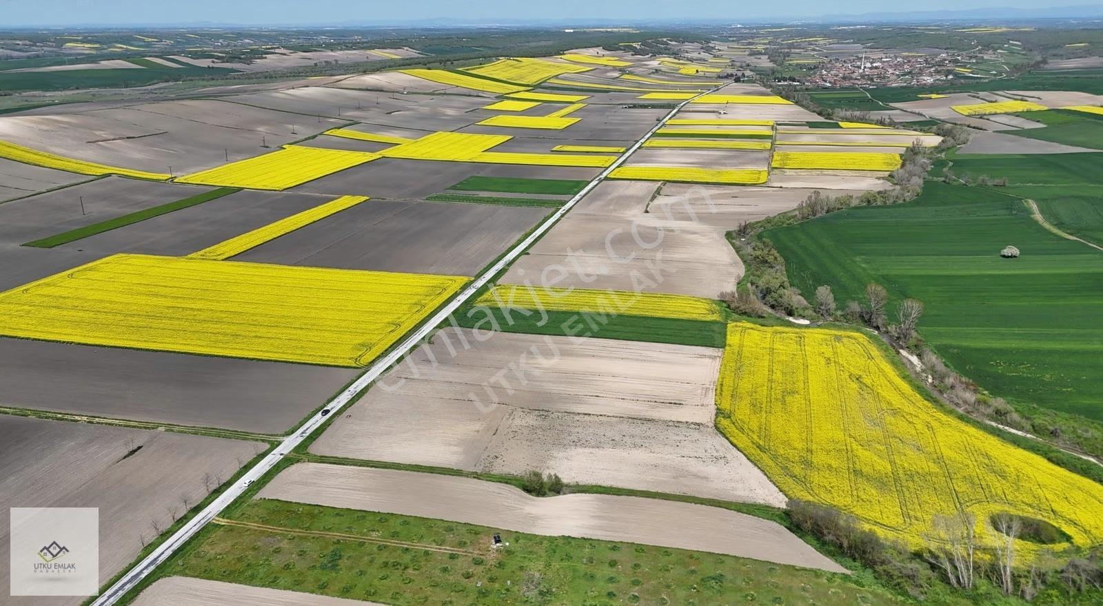 Babaeski Müsellimde 3880 M2 Asfalt Cephe Satılık Tarla - Görsel 5