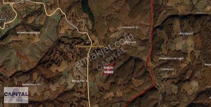Kırklareli Kofçaz Topçular Köyü'nde Yatırım Fırsatı 14.032m2