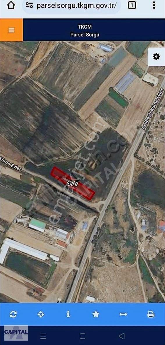 Kırklareli Merkez Asilbeyli'de, Konut İmarlı Arsa! - Görsel 5