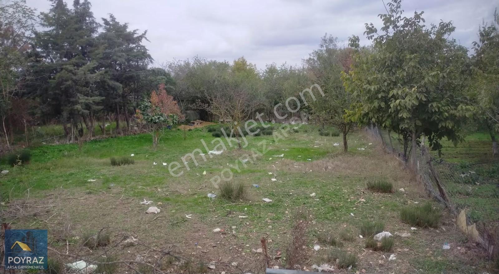 Pınarhisar Cevizköy'de İmarlı, İfrazlı 488 M² - Yatırım Fırsatı