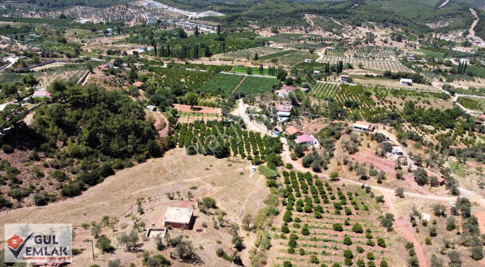Seferihisar Ceviz Altı Mevki Satılık 49 Dönüm Tarla - Görsel 6