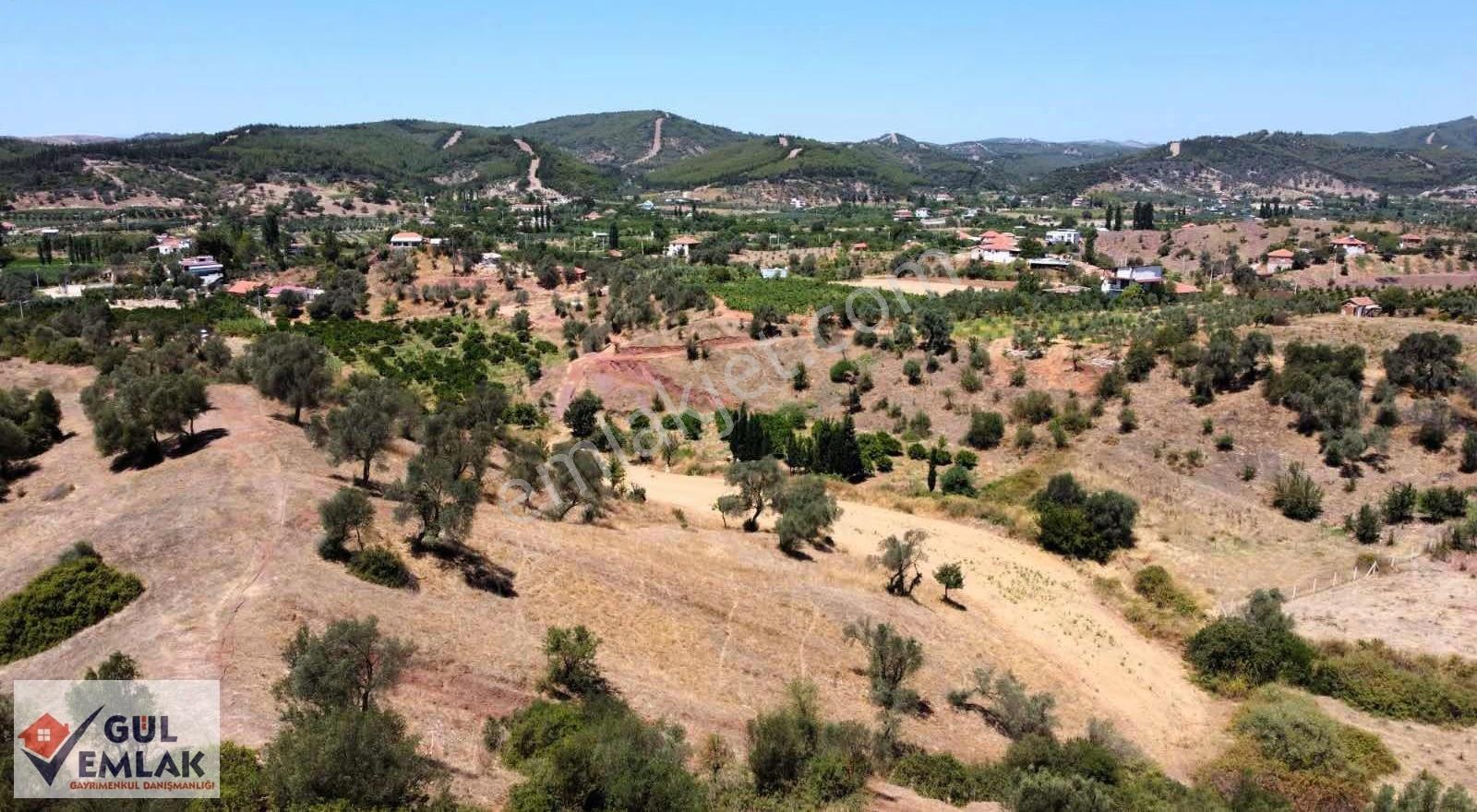 Seferihisar Ceviz Altı Mevki Satılık 49 Dönüm Tarla - Görsel 5