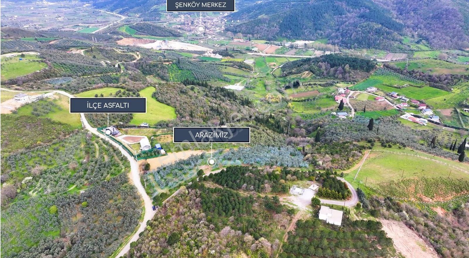 Yalova Çınarcık Şenköyde Deniz Ve Doğa Manzaralı Denize Yakın - Görsel 11