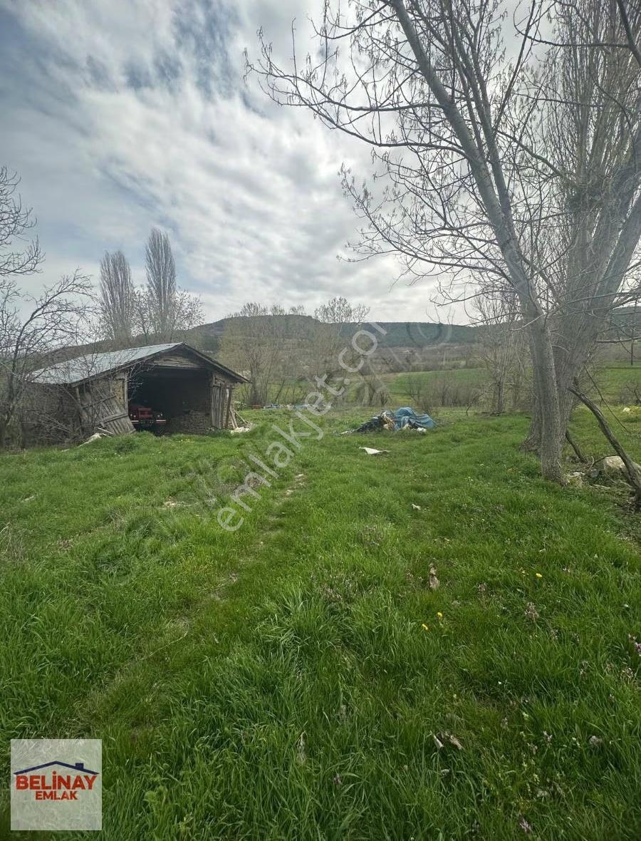 Gölpazarın'da 2545 M2 Kerpiç Ev Ahır Samanlık Fırın Ve Bahçesi - Görsel 18