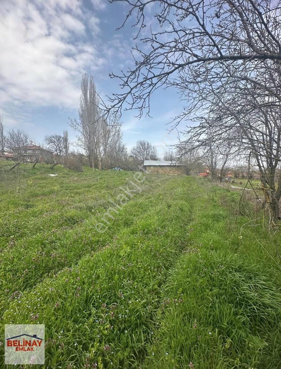 Gölpazarın'da 2545 M2 Kerpiç Ev Ahır Samanlık Fırın Ve Bahçesi - Görsel 6