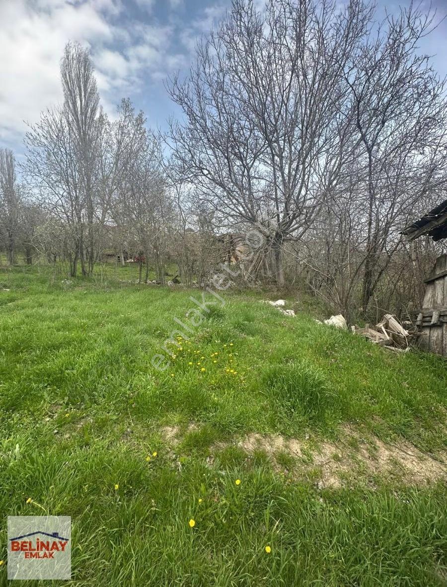 Gölpazarın'da 2545 M2 Kerpiç Ev Ahır Samanlık Fırın Ve Bahçesi - Görsel 30