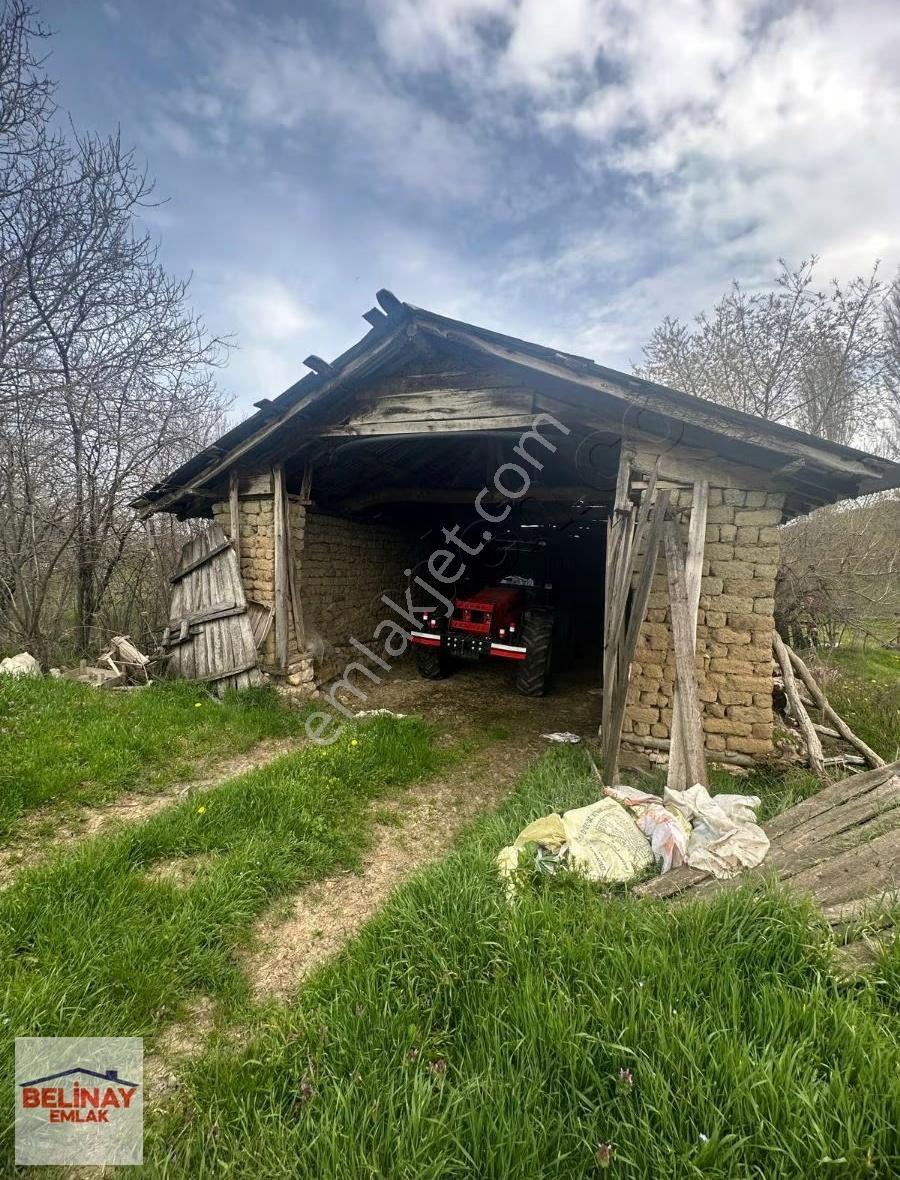 Gölpazarın'da 2545 M2 Kerpiç Ev Ahır Samanlık Fırın Ve Bahçesi - Görsel 5