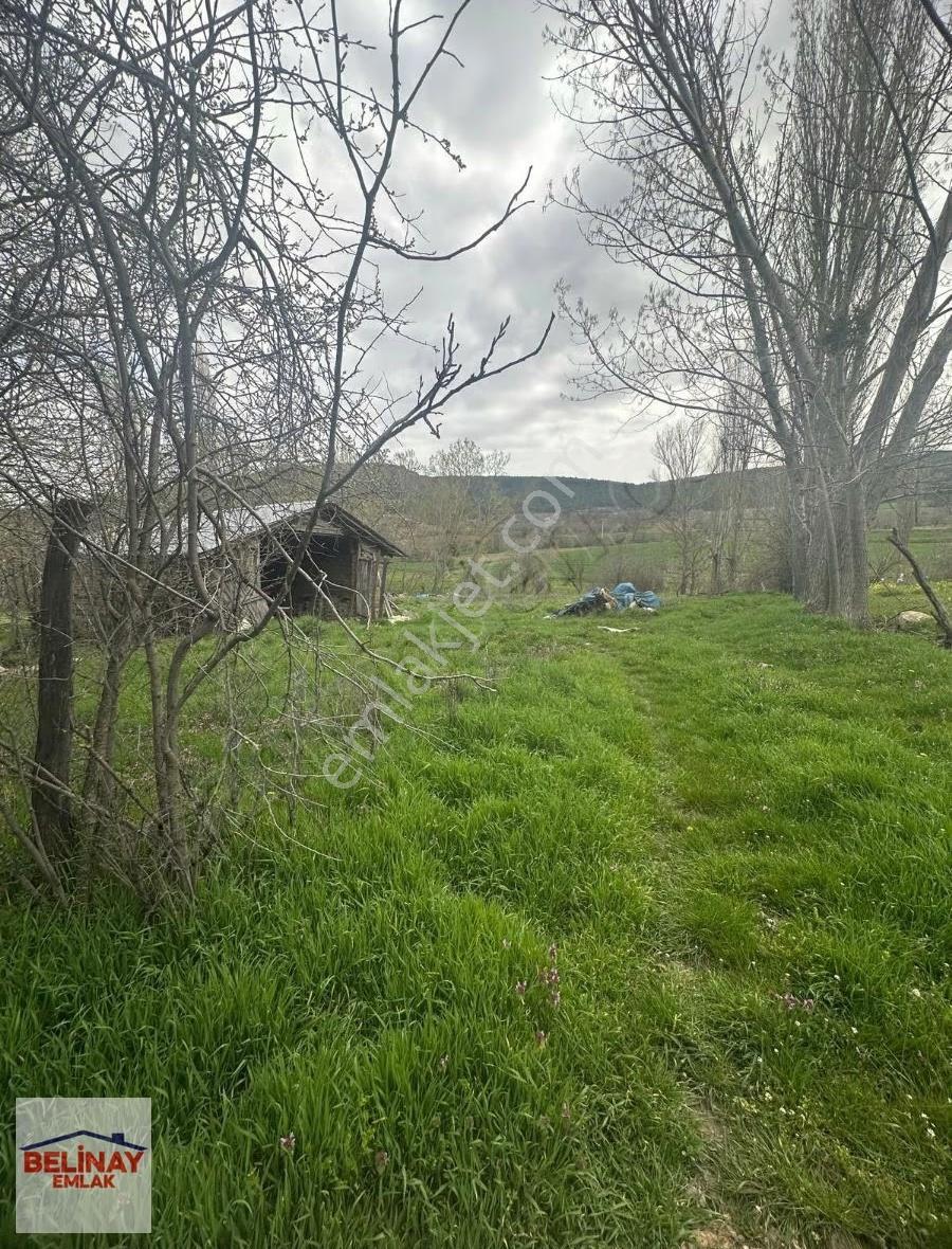 Gölpazarın'da 2545 M2 Kerpiç Ev Ahır Samanlık Fırın Ve Bahçesi - Görsel 27