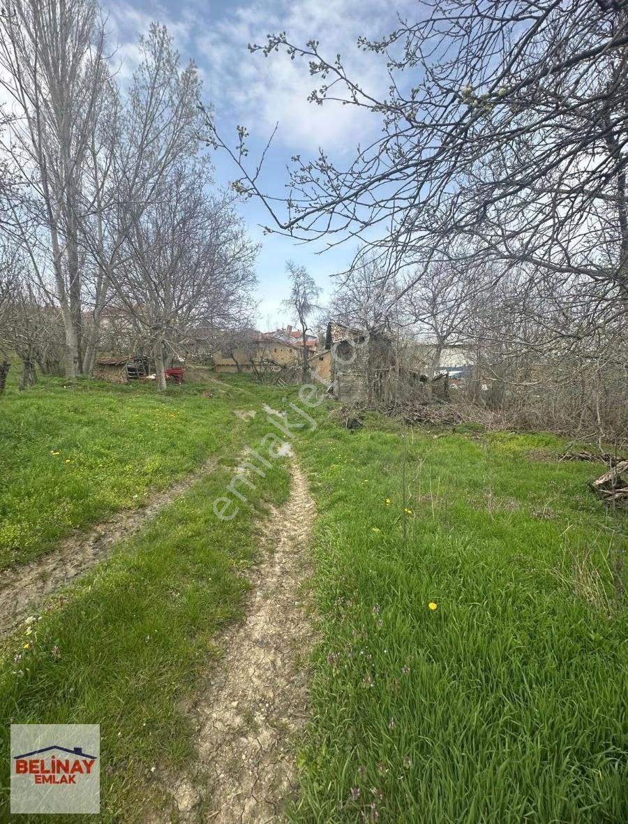 Gölpazarın'da 2545 M2 Kerpiç Ev Ahır Samanlık Fırın Ve Bahçesi - Görsel 34