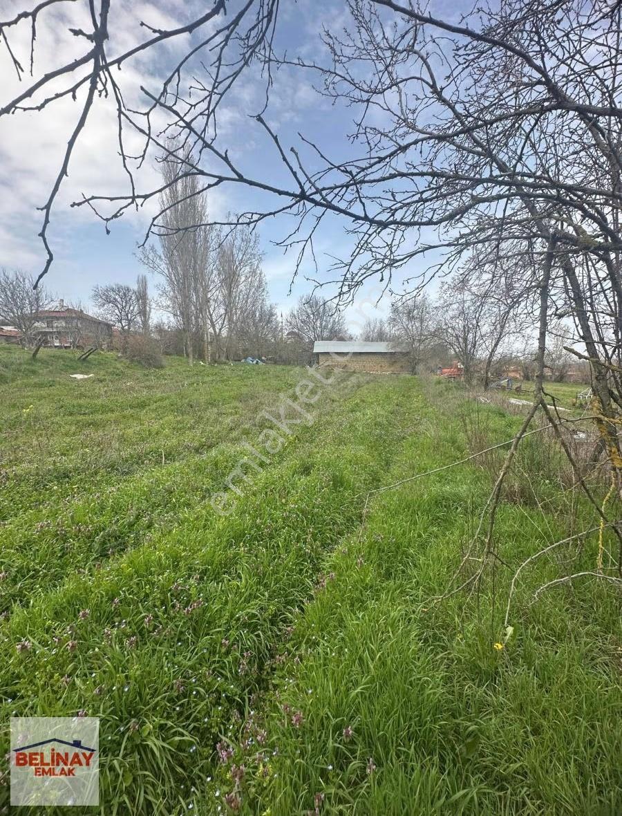 Gölpazarın'da 2545 M2 Kerpiç Ev Ahır Samanlık Fırın Ve Bahçesi - Görsel 4