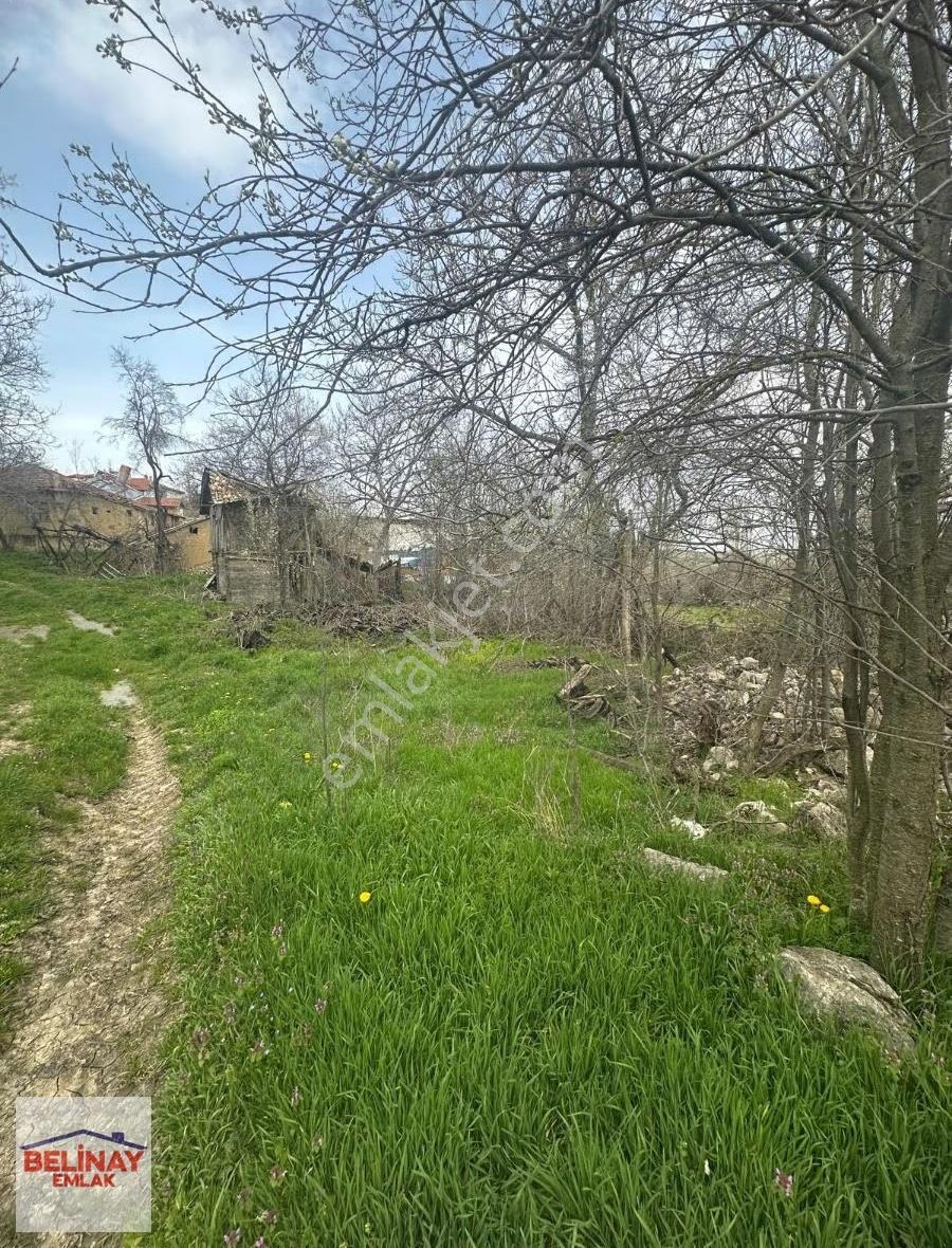 Gölpazarın'da 2545 M2 Kerpiç Ev Ahır Samanlık Fırın Ve Bahçesi - Görsel 28