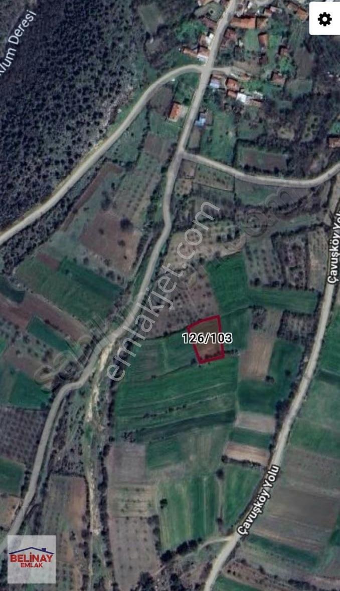 Satılık 27800 M2 7 Adet Parsel - Görsel 5