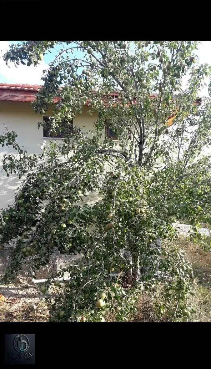 Çığlık Yaylasındaki Yazlığımız Satılıktır... - Görsel 4