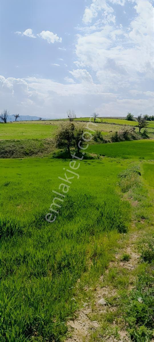 Denizli Bozkurt Alikurt Satılık Tarla - Görsel 3