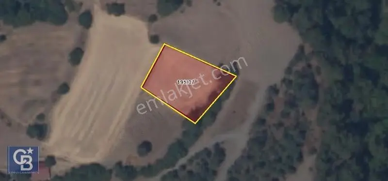 Muğla Menteşe Yörükoğlu'nda 1411 M2 Satılık Tarla