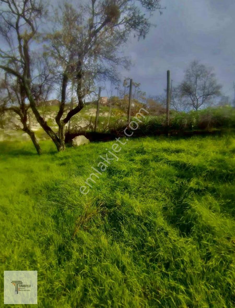 ▒tunaboylu'dan Gömeçte Yola Çepheli Ev Yapılabilir Fırsat Bahçe▒ - Görsel 7