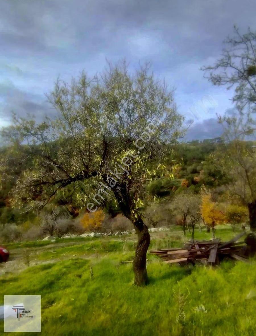 ▒tunaboylu'dan Gömeçte Yola Çepheli Ev Yapılabilir Fırsat Bahçe▒ - Görsel 34