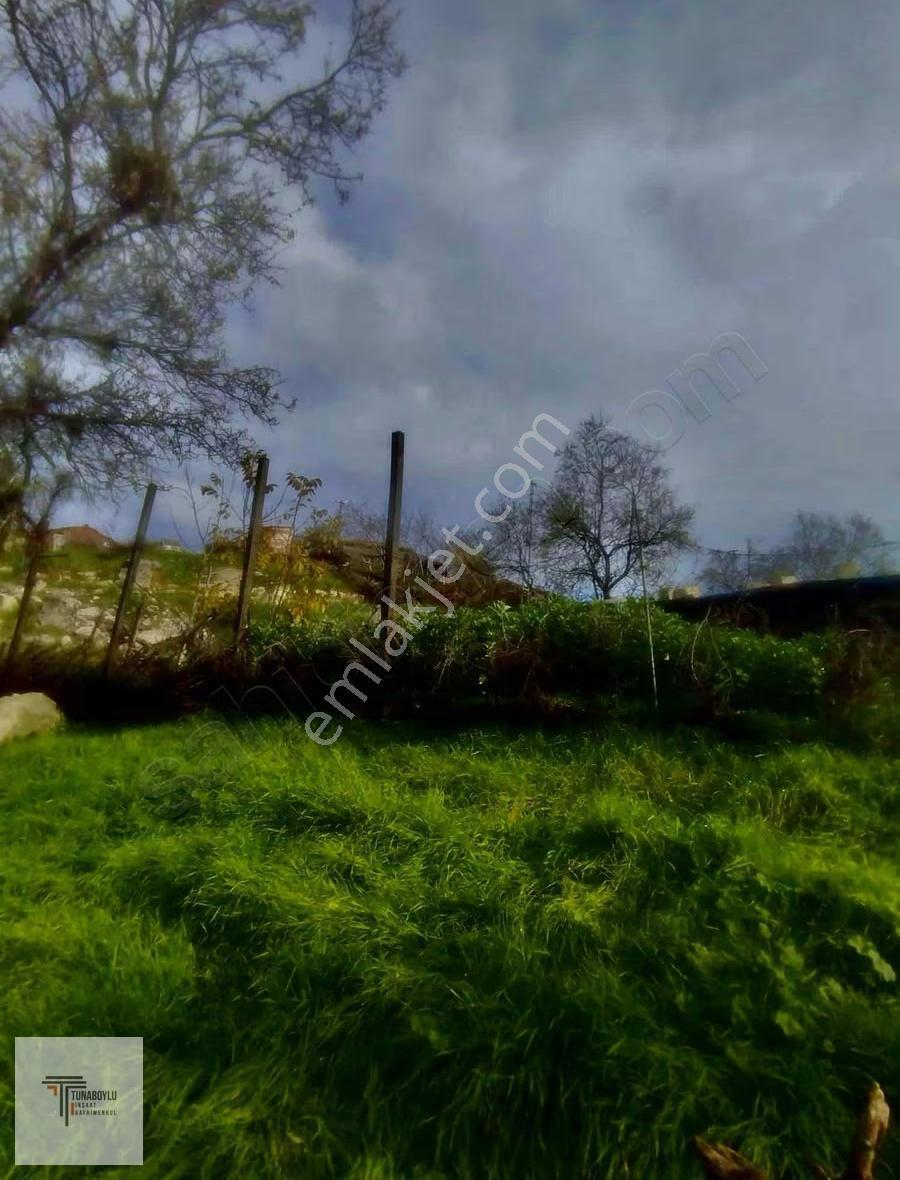 ▒tunaboylu'dan Gömeçte Yola Çepheli Ev Yapılabilir Fırsat Bahçe▒ - Görsel 5