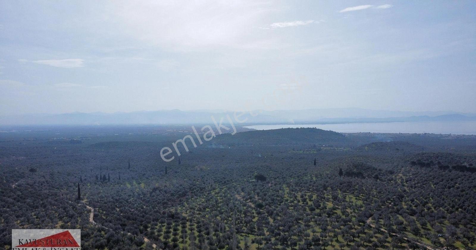Kavuşturan Emlak'tan Güre'de Şok Fiyata Satılık %20 İmarlı Arsa - Görsel 24