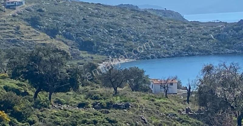 Expo Dan Ayağacı Deniz Manzaralı 1394 Metrekare Tarlamız