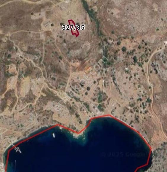 Expo Dan Ayağacı Deniz Manzaralı 1394 Metrekare Tarlamız - Görsel 3