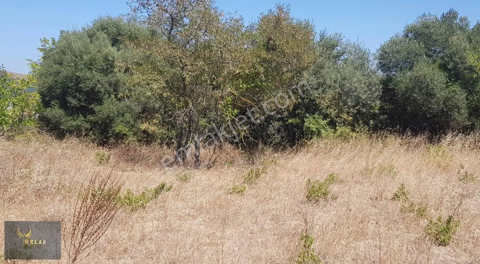 Edincik Mah Konut Alanı (sarı Alan) 2,582 M2 Yatırımlık Parsel - Görsel 4