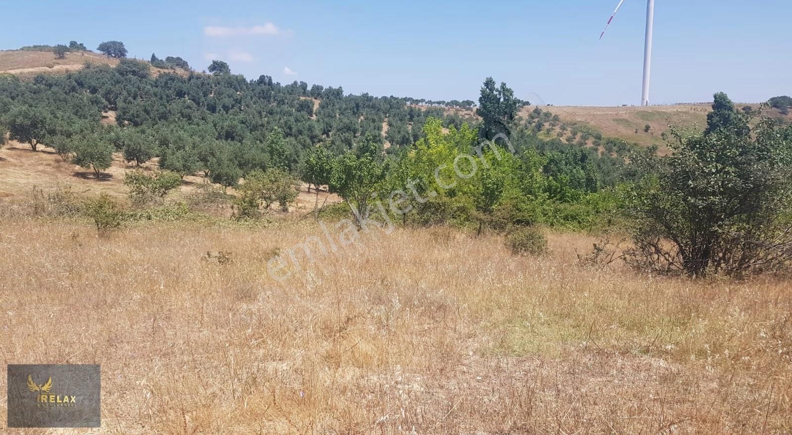 Edincik Mah Konut Alanı (sarı Alan) 2,582 M2 Yatırımlık Parsel - Görsel 5
