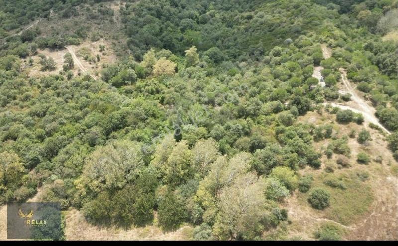 Erdek Yukarıyapıcı Mah Resmi Yola Cephe Satılık Parsel - Görsel 7