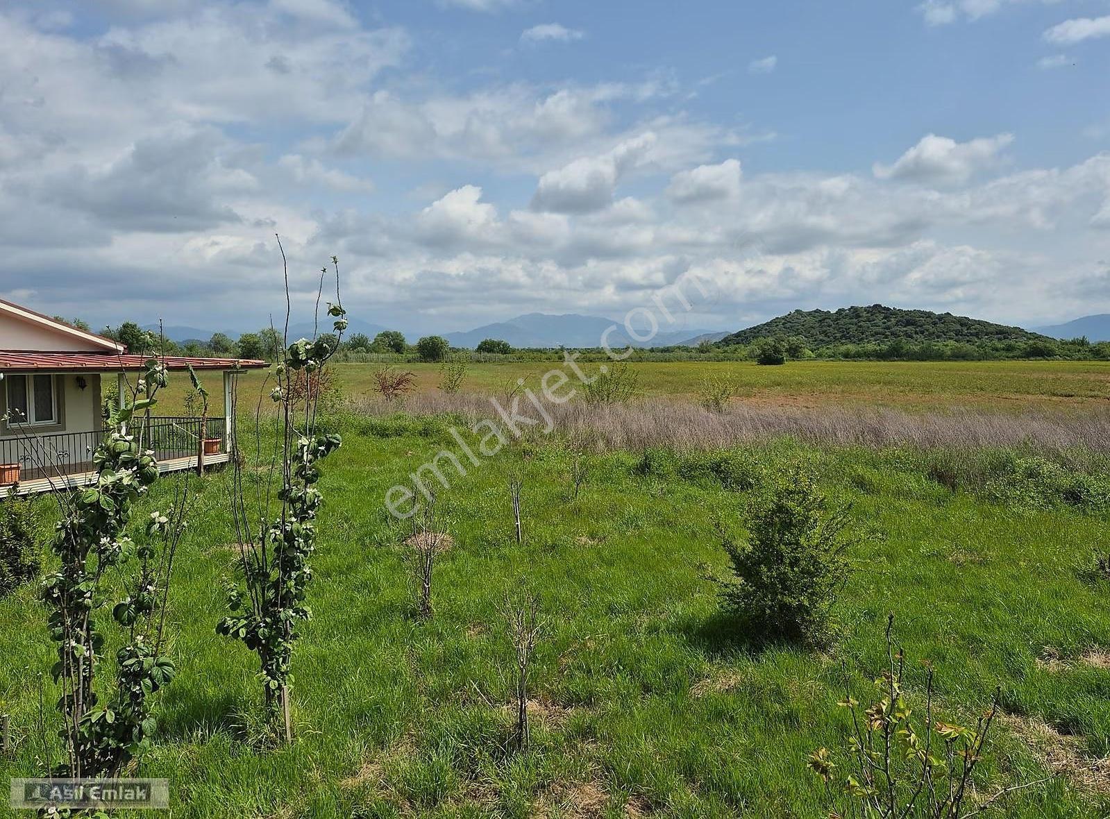 Asil Emlaktan Ortaca Mergenli Mah.de Satılık 47400m² Tarla - Görsel 13