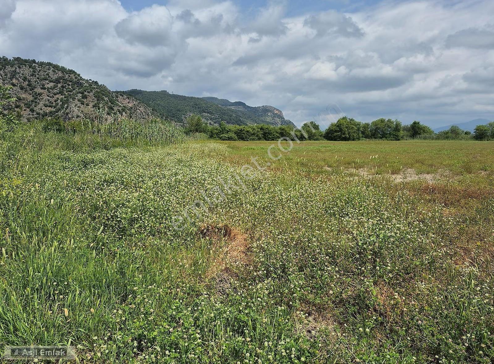 Asil Emlaktan Ortaca Mergenli Mah.de Satılık 47400m² Tarla - Görsel 17