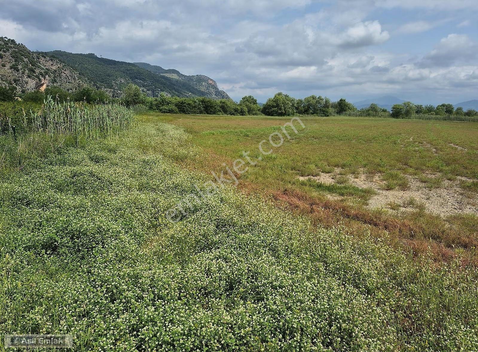 Asil Emlaktan Ortaca Mergenli Mah.de Satılık 47400m² Tarla - Görsel 3
