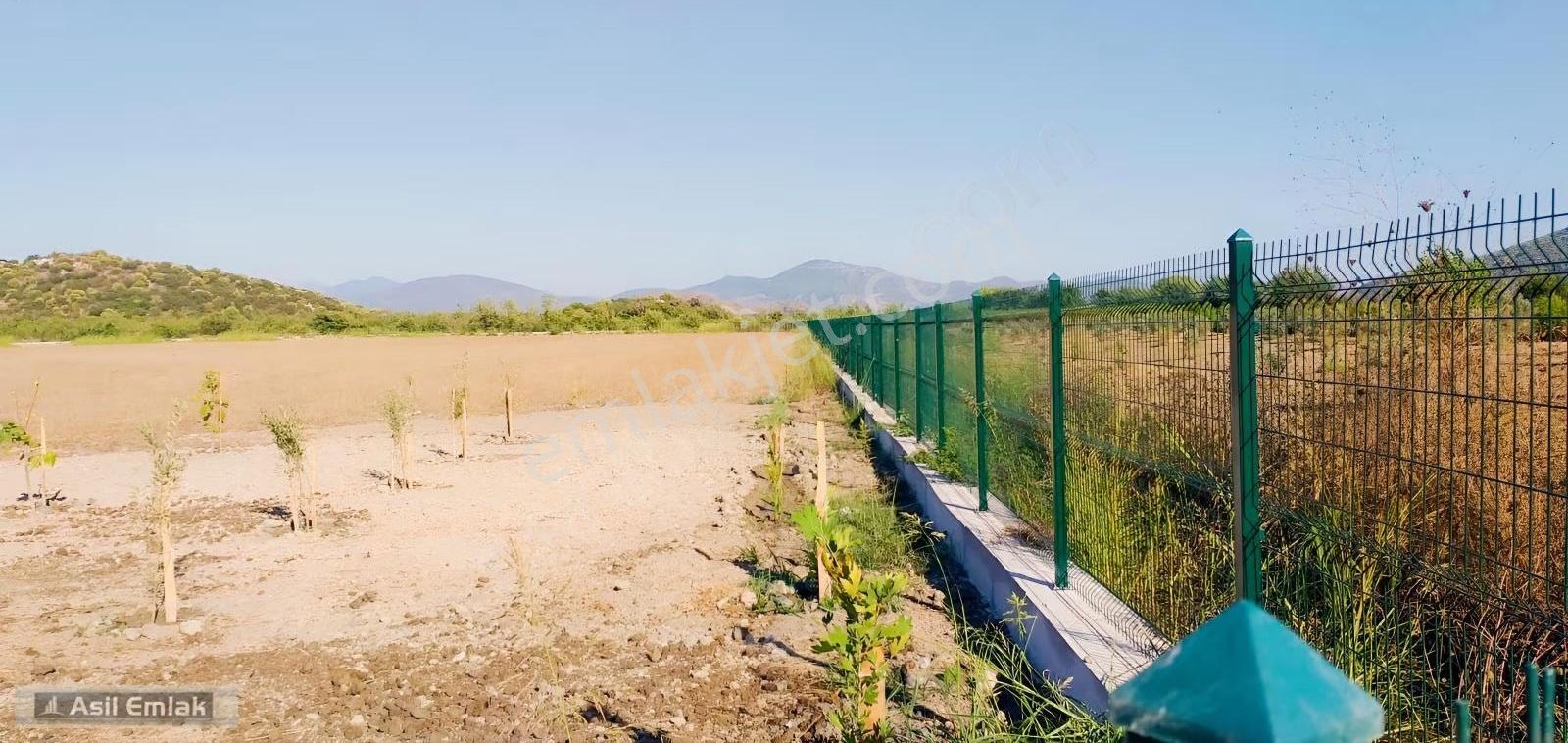 Asil Emlaktan Ortaca Mergenli Mah.de Satılık 47400m² Tarla - Görsel 28