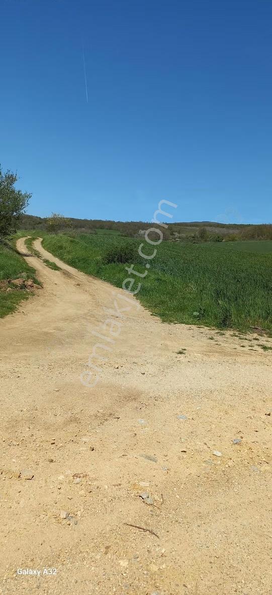Vize Sergende Yol Boyu 958 M2 Tek Tapu - Görsel 14