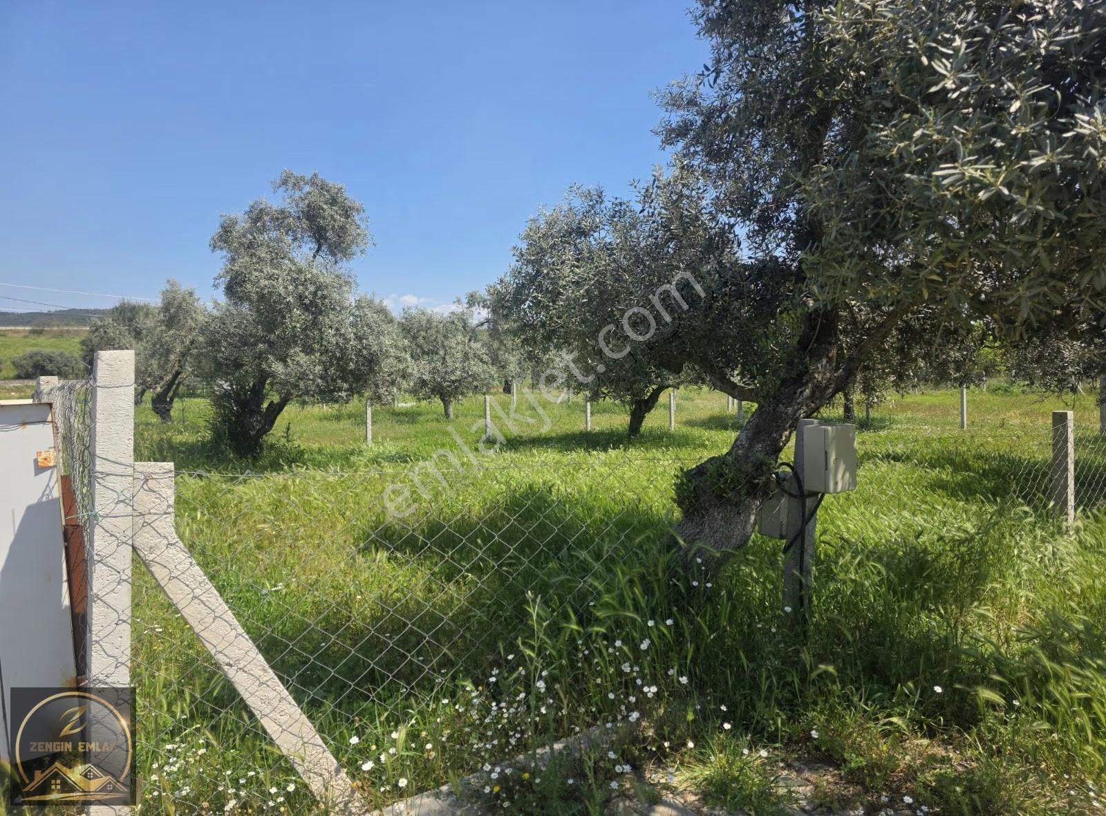 Zengin Emlak'tan Arslanlarda Hisseli 308 M2