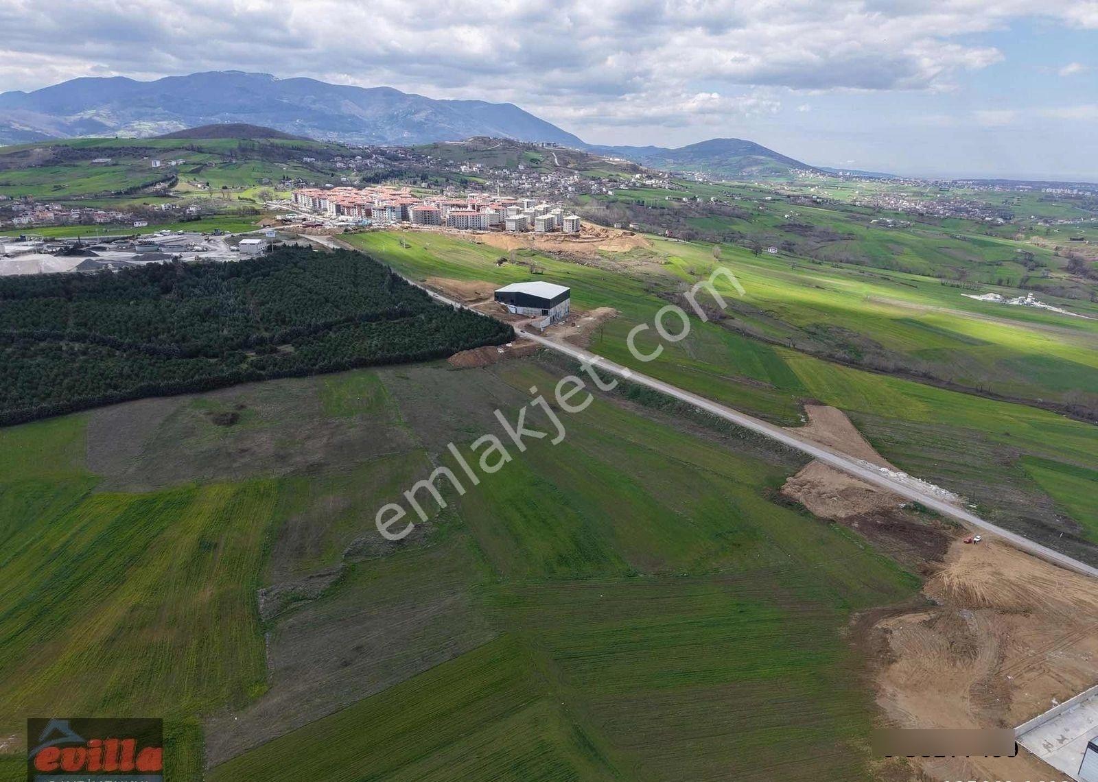 Samsun / İlkadım Ahulu Yeni Sanayi Sitesi Satılık Hisse - Görsel 2