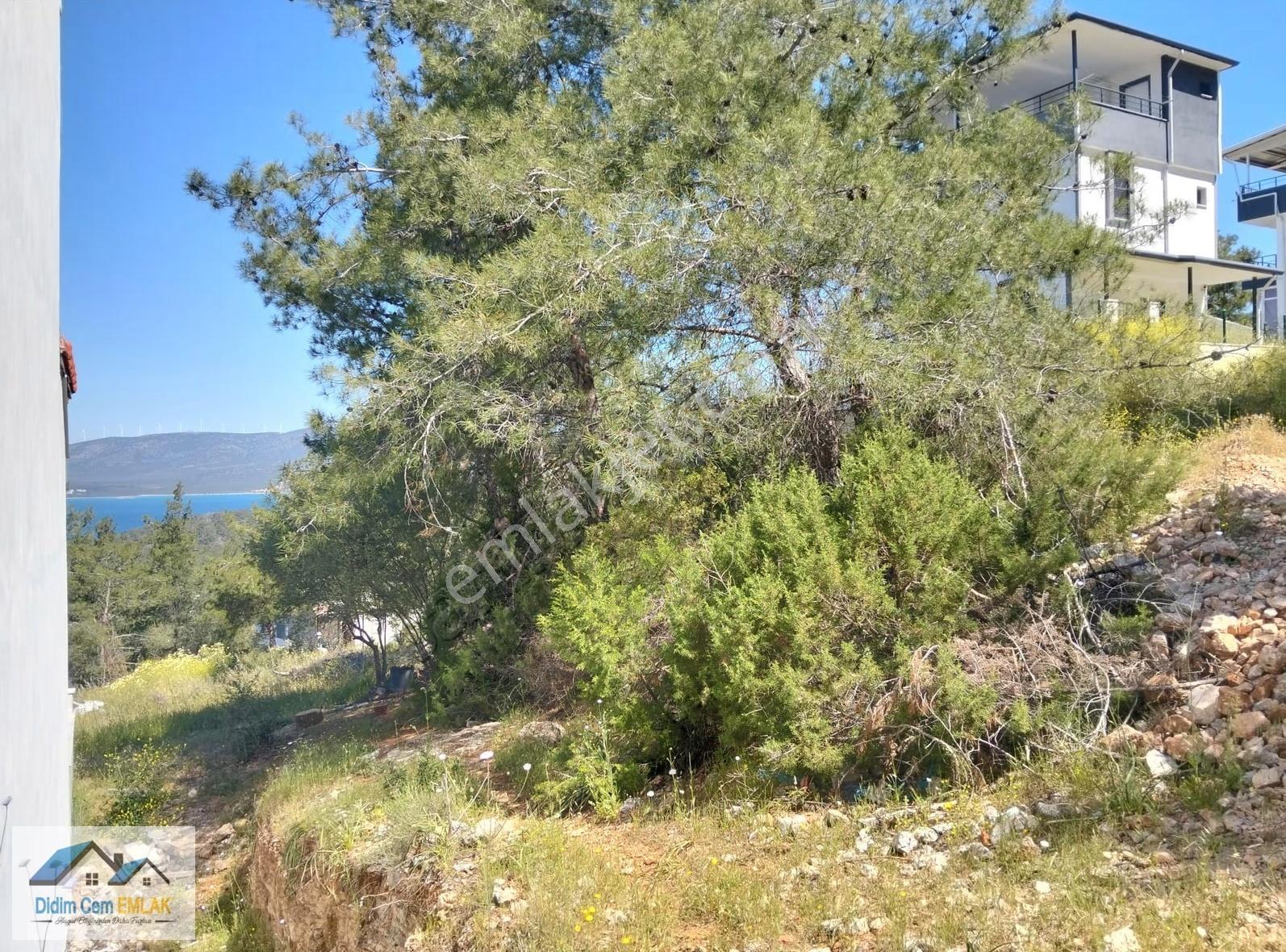 Full Deniz Ve Orman Manzaralı Satılık 248 M2 Arsa - Görsel 3