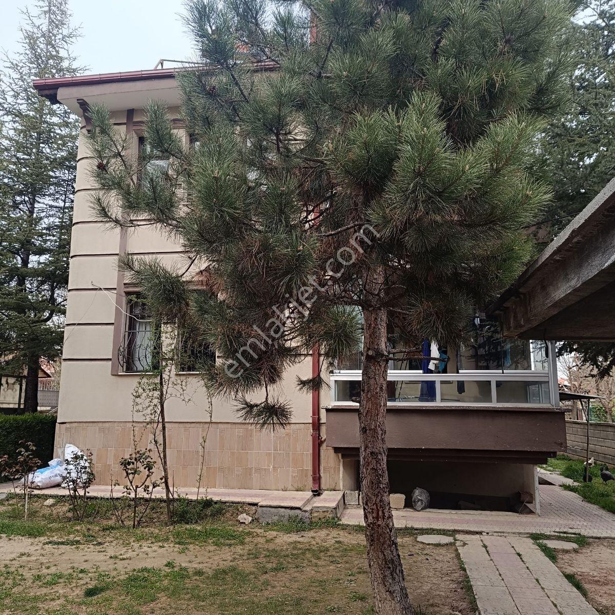 Derbentli Gayrimenkul'den Erenköy Caddesine Cephe Müstakil Tapu - Görsel 7