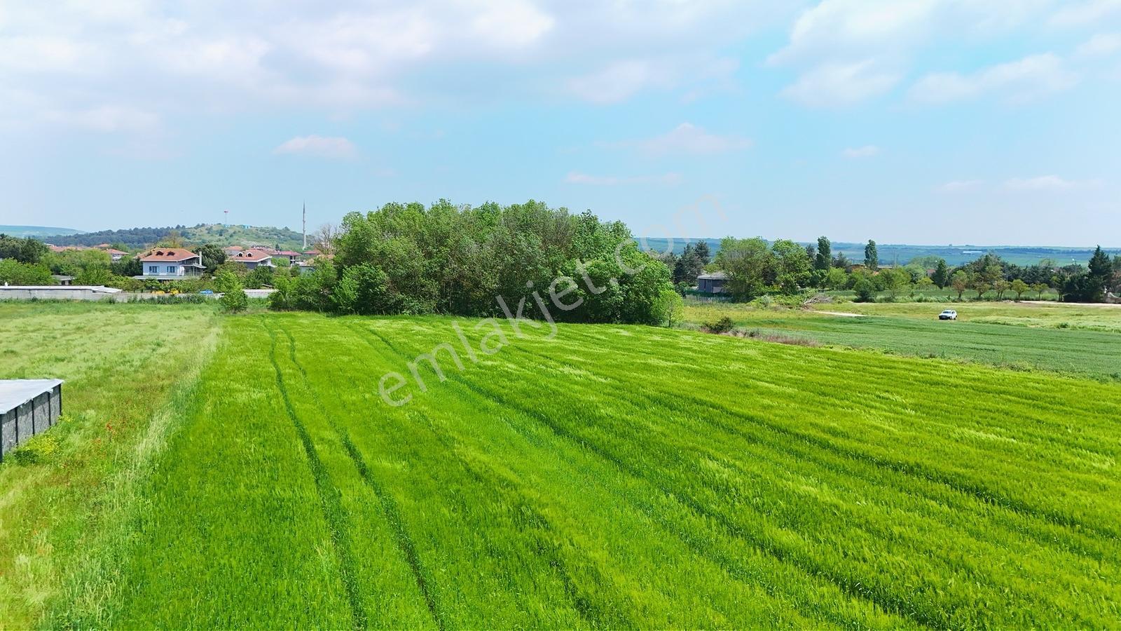 Yuşa'dan Gökçeali'de Yerleşimin İçinde 3765m2 - Görsel 9