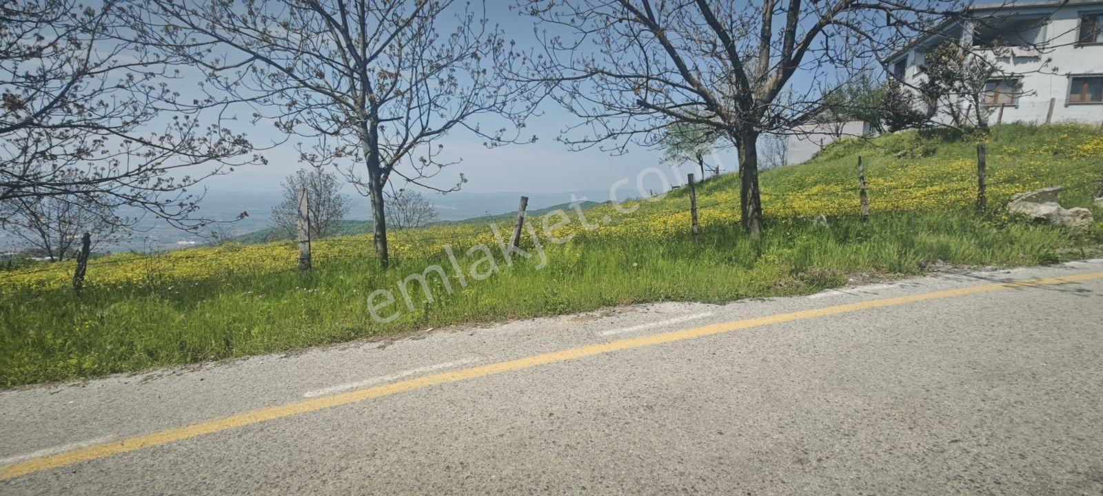 İmarlı Bölgenin En Güzeli En Manzaralısı Geldi