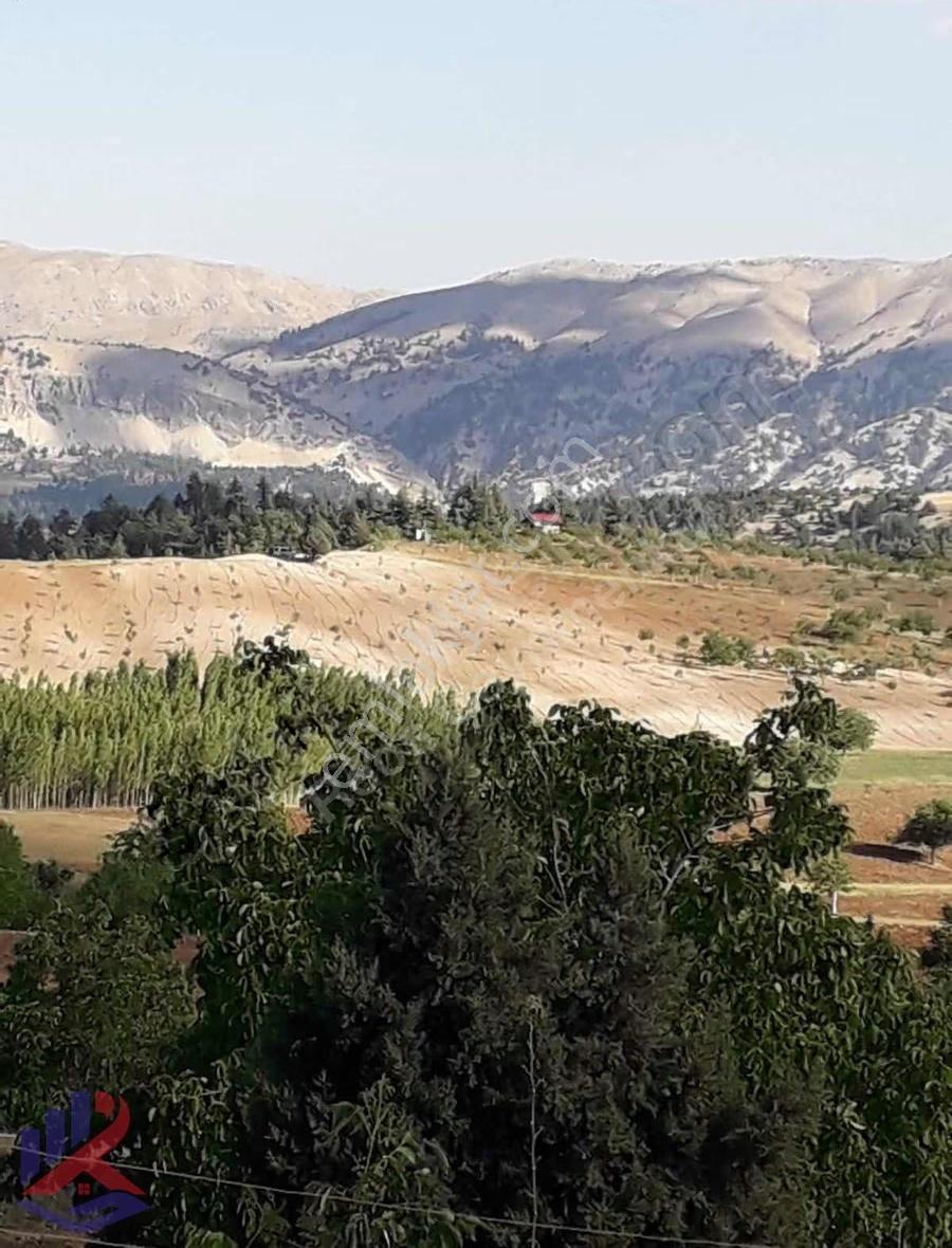 Reos Gayrimenkul'den Çağlayancerit'de Satılık 17.380 M² Bağ - Görsel 4