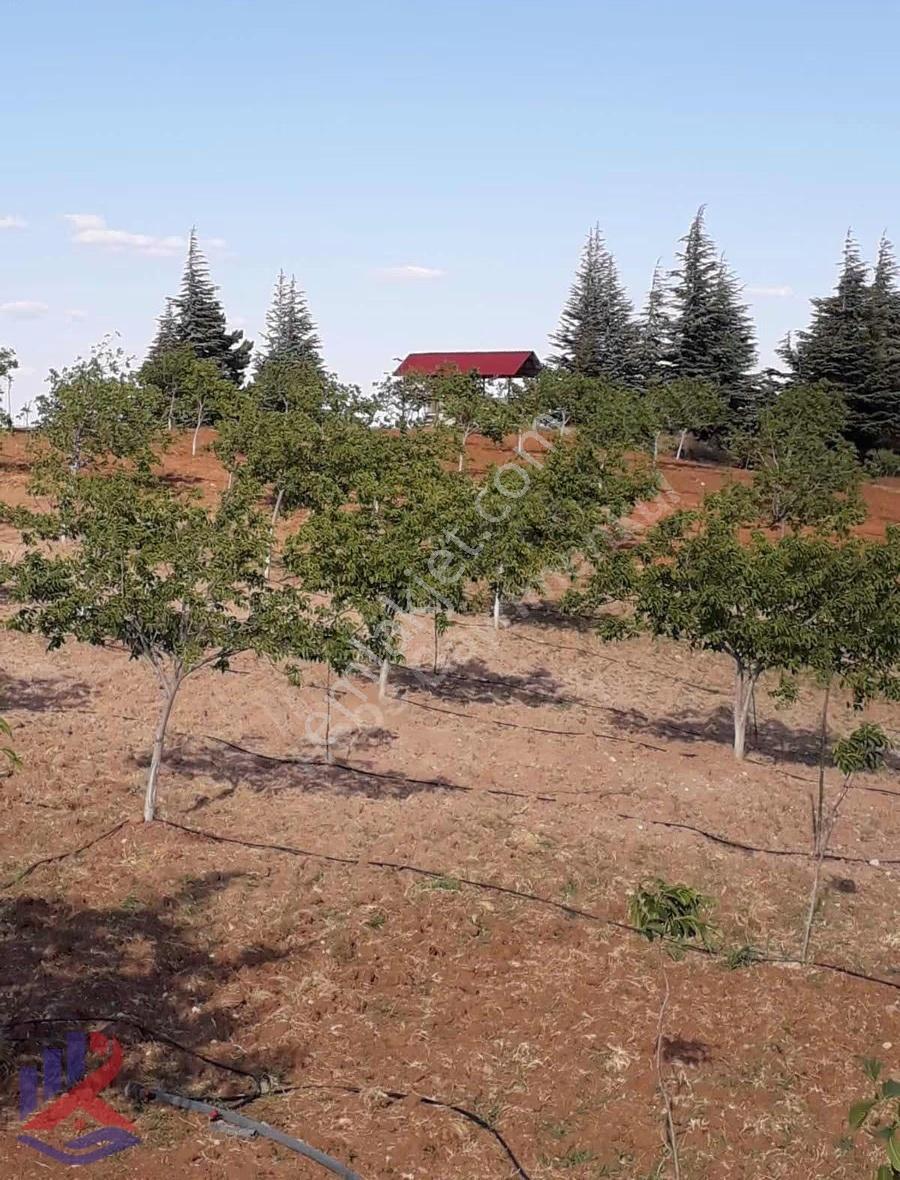 Reos Gayrimenkul'den Çağlayancerit'de Satılık 17.380 M² Bağ - Görsel 19