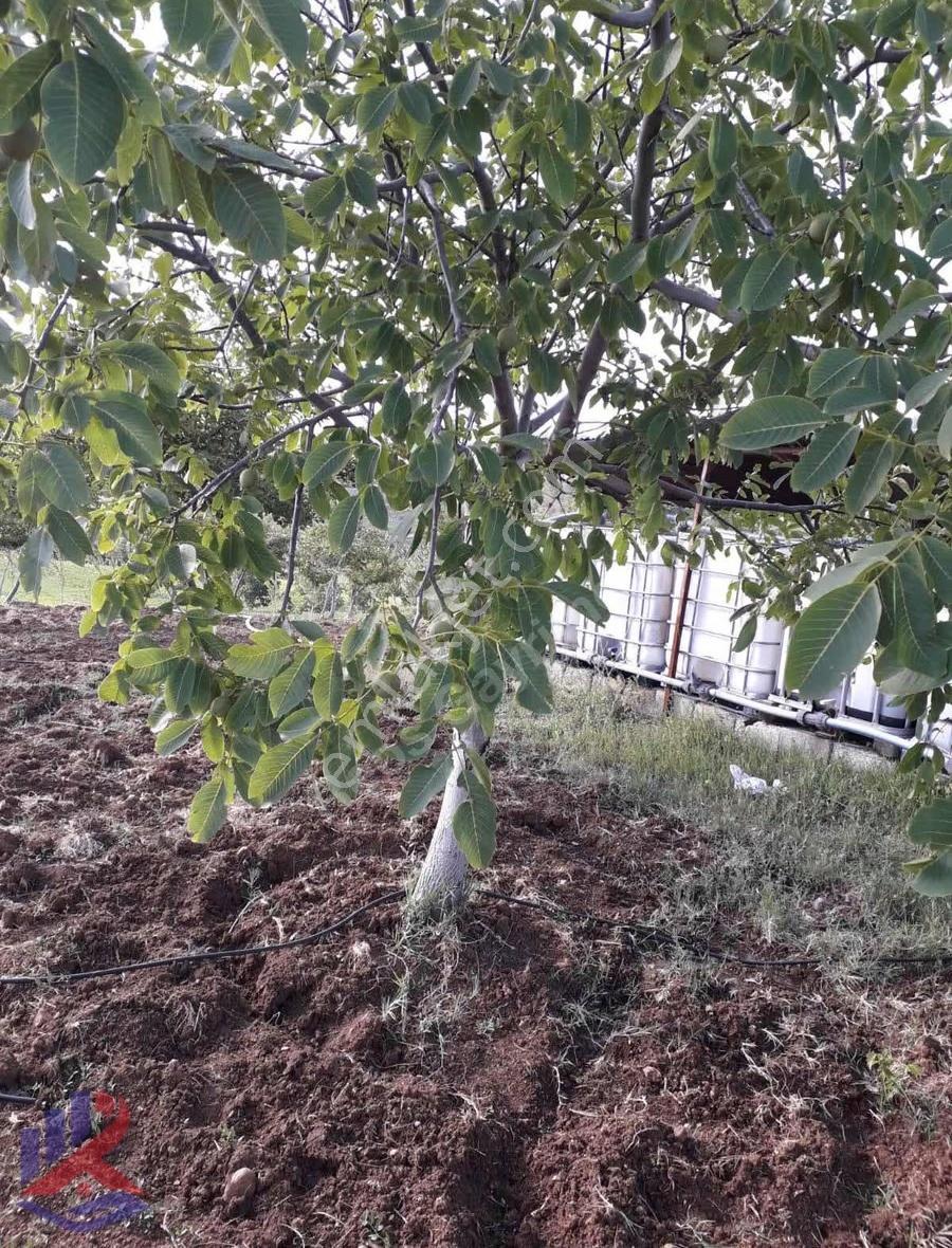 Reos Gayrimenkul'den Çağlayancerit'de Satılık 17.380 M² Bağ - Görsel 14