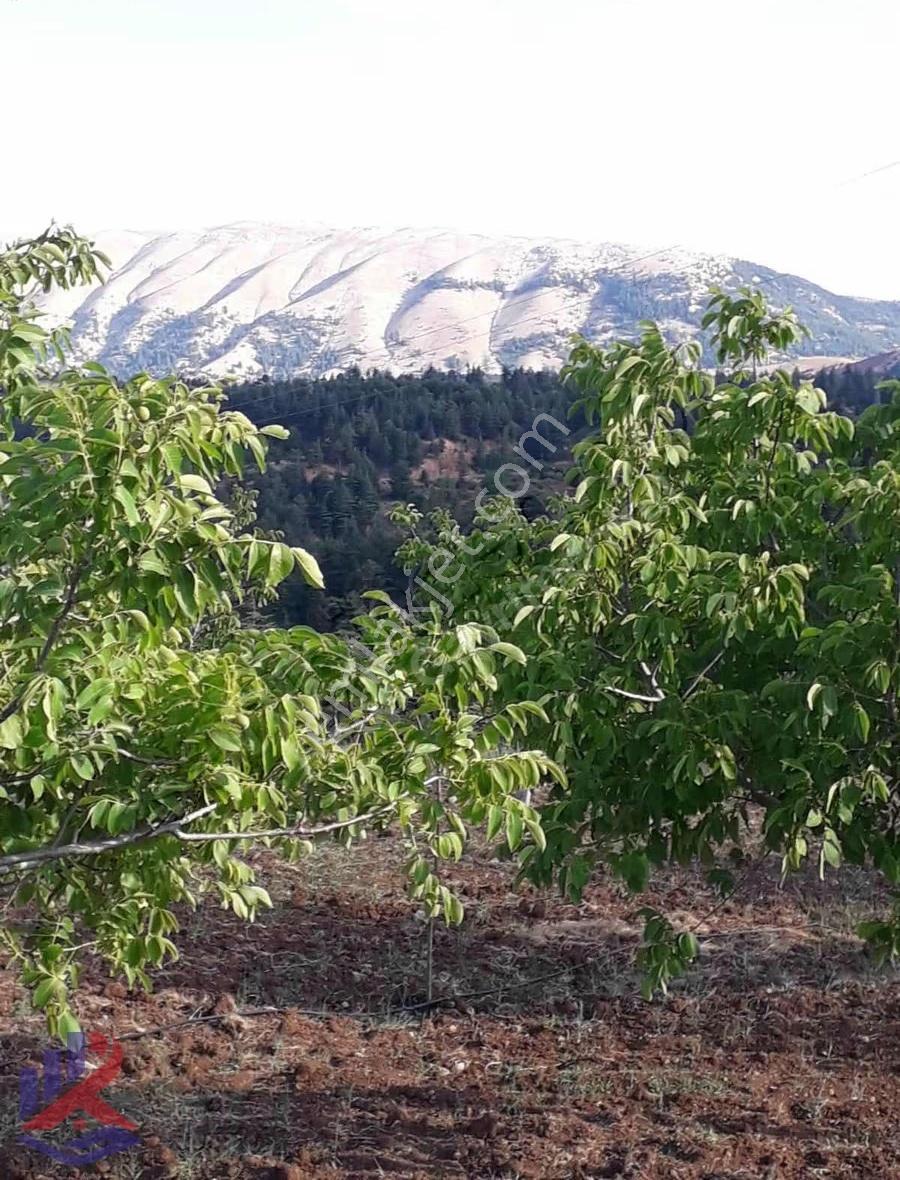 Reos Gayrimenkul'den Çağlayancerit'de Satılık 17.380 M² Bağ - Görsel 5