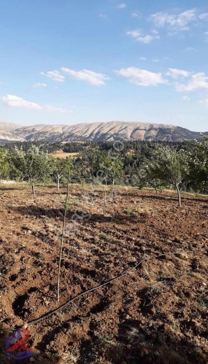 Reos Gayrimenkul'den Çağlayancerit'de Satılık 17.380 M² Bağ - Görsel 20