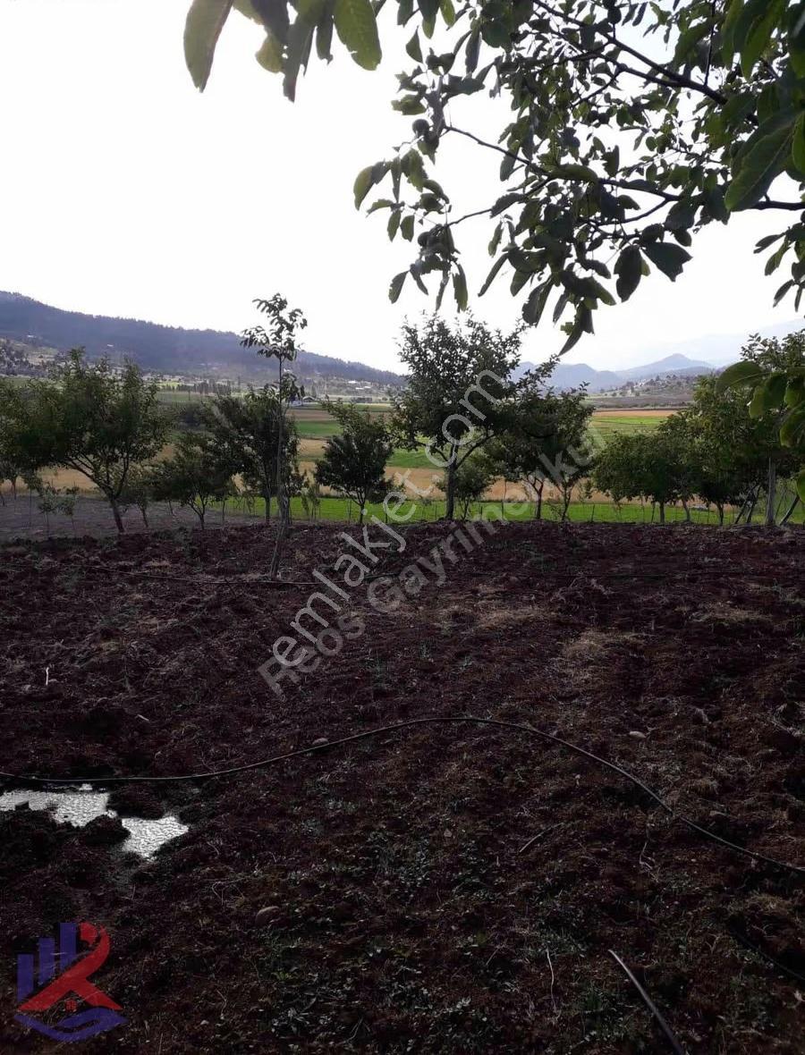 Reos Gayrimenkul'den Çağlayancerit'de Satılık 17.380 M² Bağ - Görsel 16